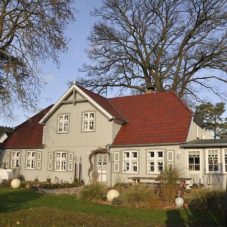 Traumfaengerhaus Engel Διαμέρισμα Prerow Εξωτερικό φωτογραφία